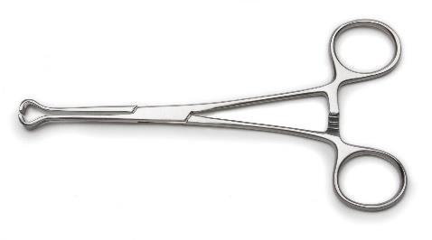 Babcock Forceps
